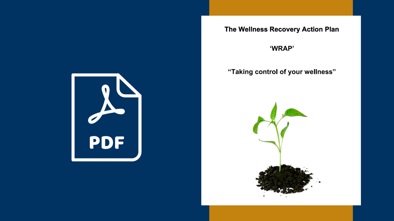 wellness recovery action plan activities