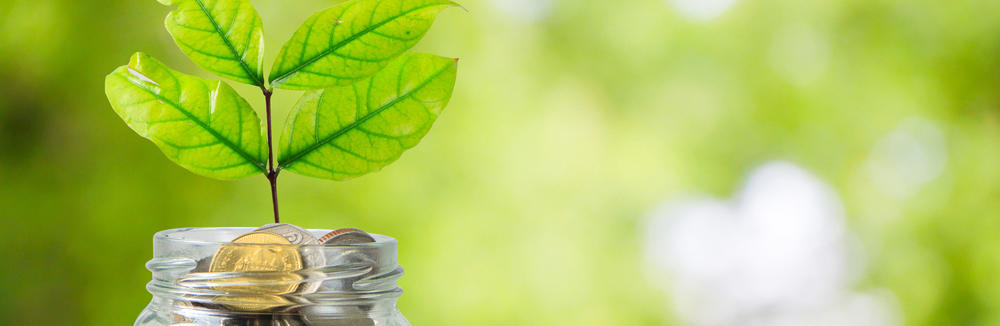 plant growing from jar of money