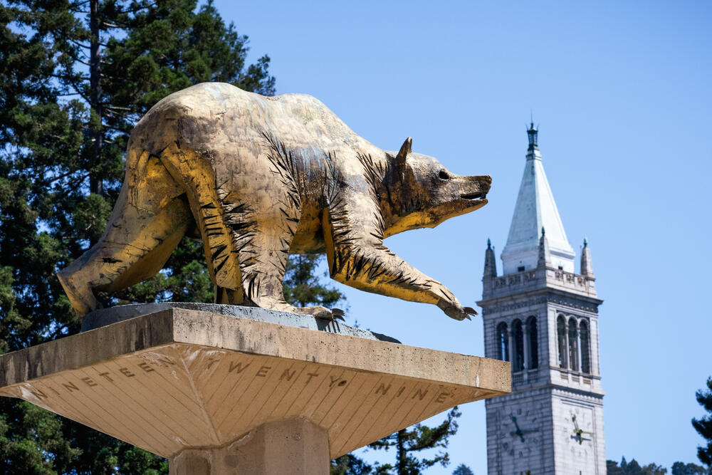 Golden Bear Statue on UC Berkeley campus