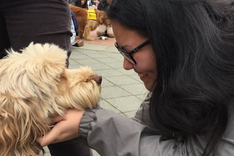 Pet Hugs on Sproul - March 2017