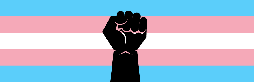 trans care flag with black silhouette of fist in front of it.
