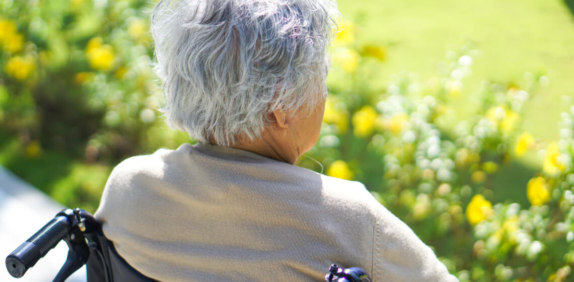 Elder in a wheelchair looking out at nature