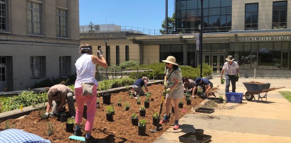 staff garden