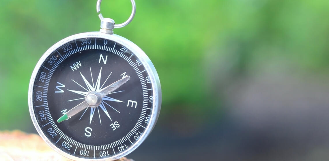 Classic navigation compass on natural green background
