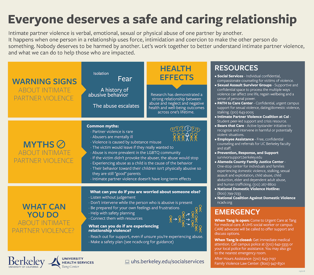 Intimate Partner Violence infographic