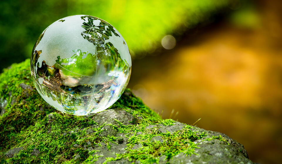 A drop of water sits on a mossy green rock