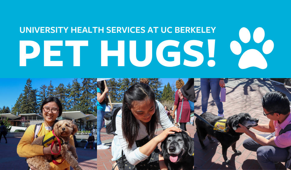 Image of various pet hug events at UC Berkeley