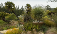 UC Berkeley Botanical Garden